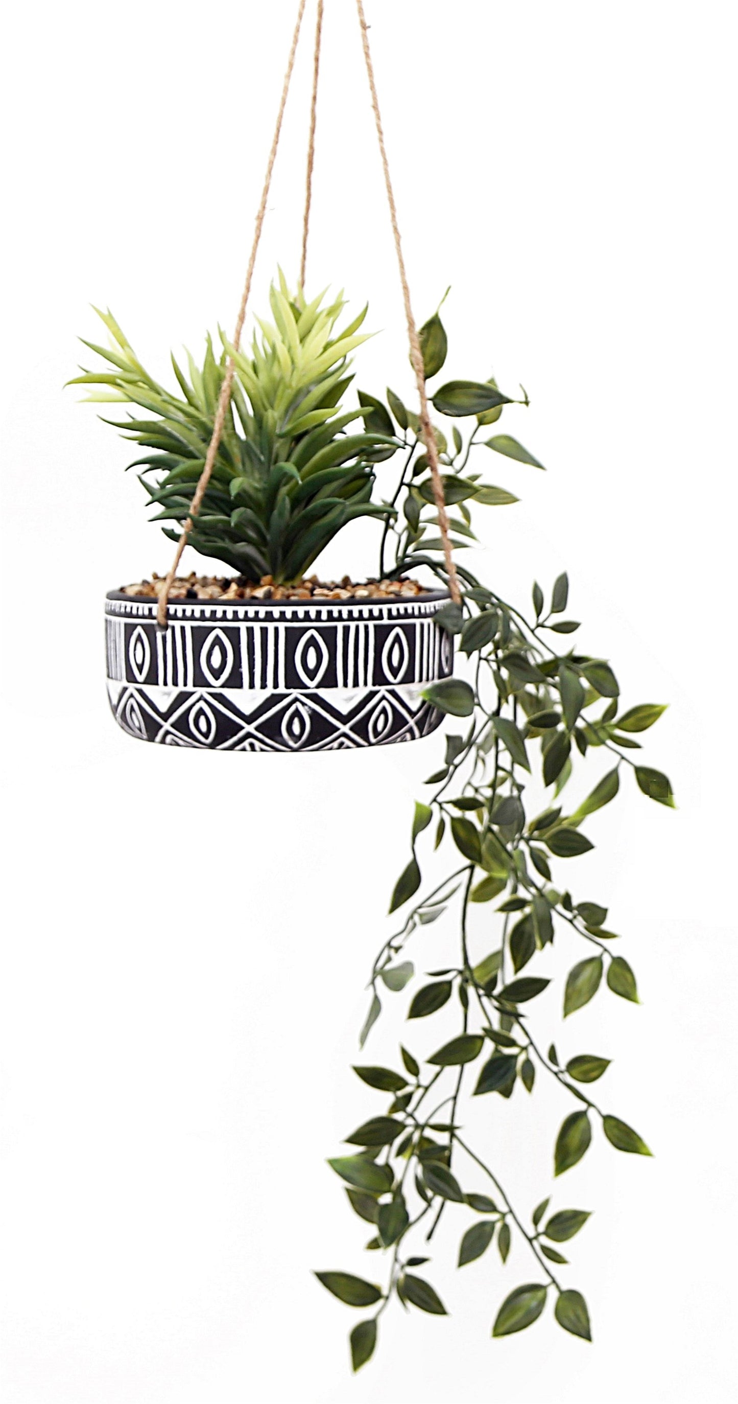 Black Ceramic Hanging Pot with Plants